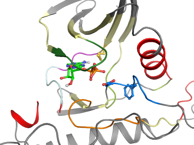 The orthosteric binding pocket