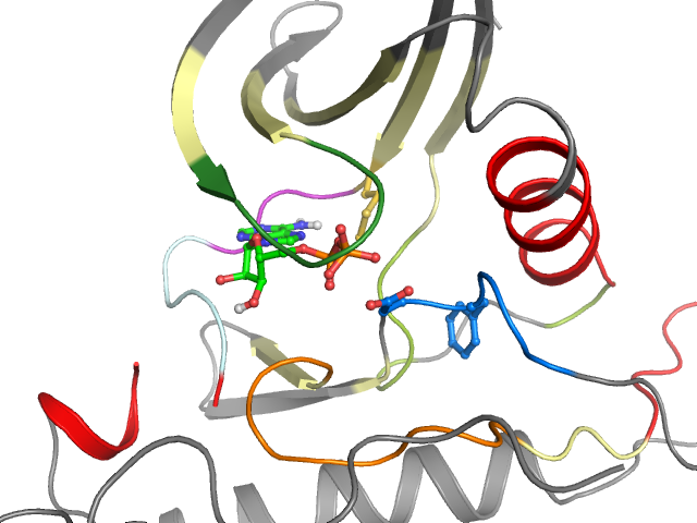 The orthosteric binding pocket