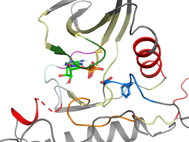 The orthosteric binding pocket