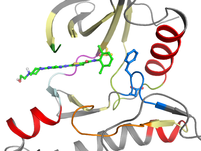 The orthosteric binding pocket