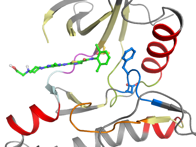 The orthosteric binding pocket