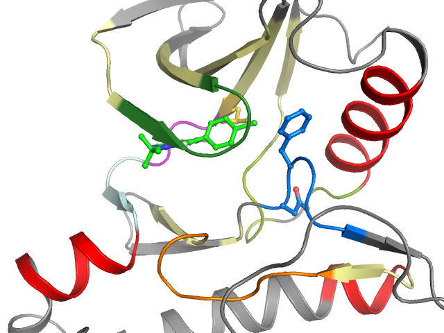 The orthosteric binding pocket