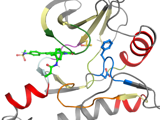 The orthosteric binding pocket