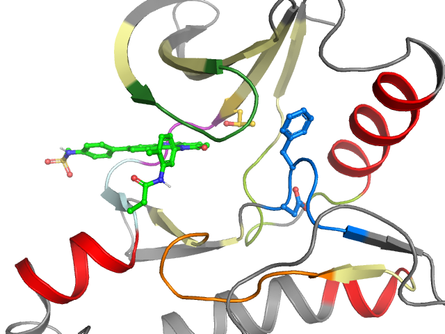 The orthosteric binding pocket