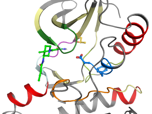 The orthosteric binding pocket