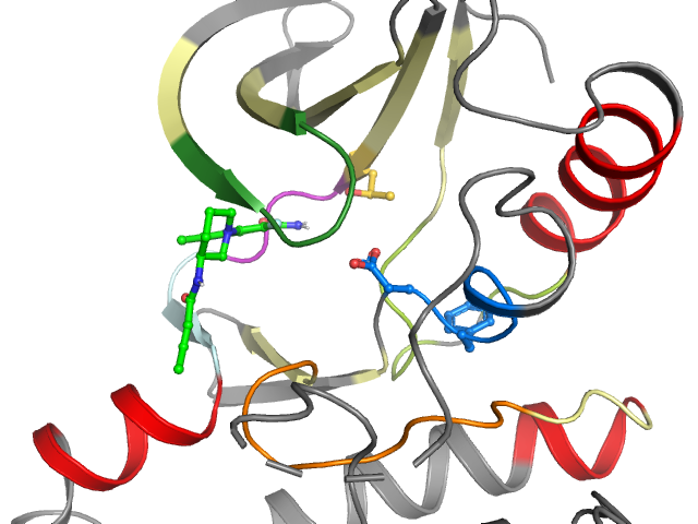 The orthosteric binding pocket