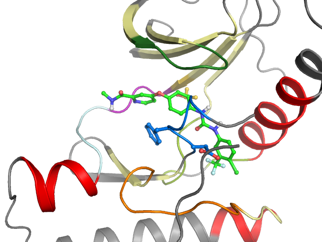 The orthosteric binding pocket
