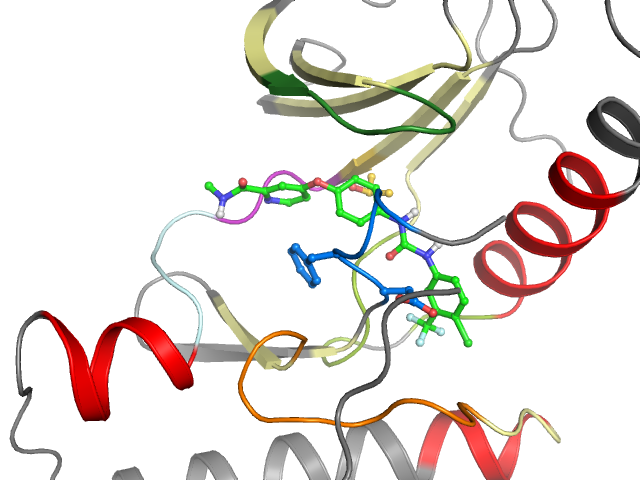 The orthosteric binding pocket