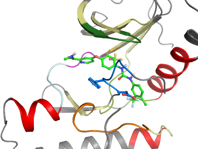 The orthosteric binding pocket
