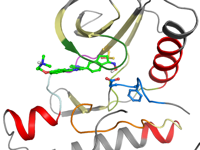 The orthosteric binding pocket