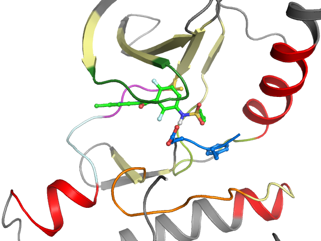 The orthosteric binding pocket