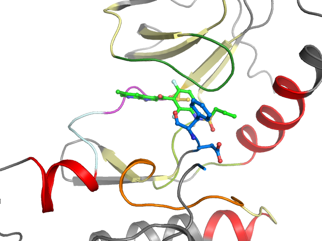 The orthosteric binding pocket