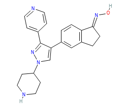 2D structure of the orthosteric ligand