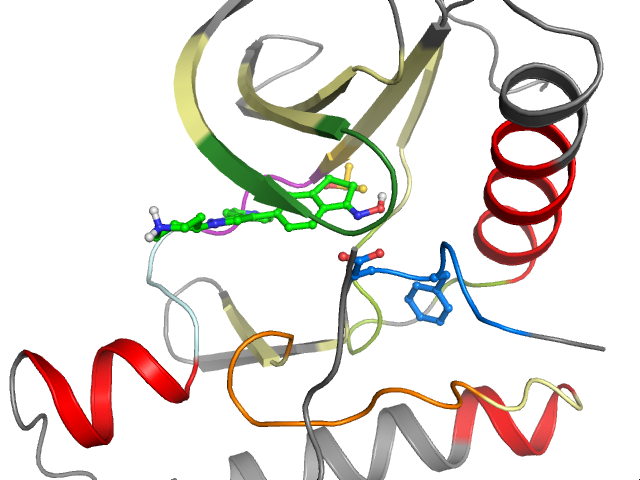 The orthosteric binding pocket