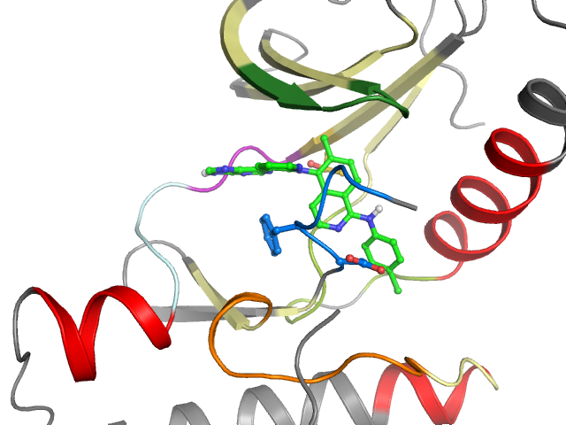 The orthosteric binding pocket