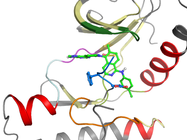 The orthosteric binding pocket