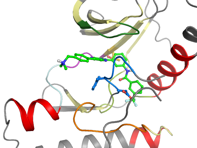 The orthosteric binding pocket