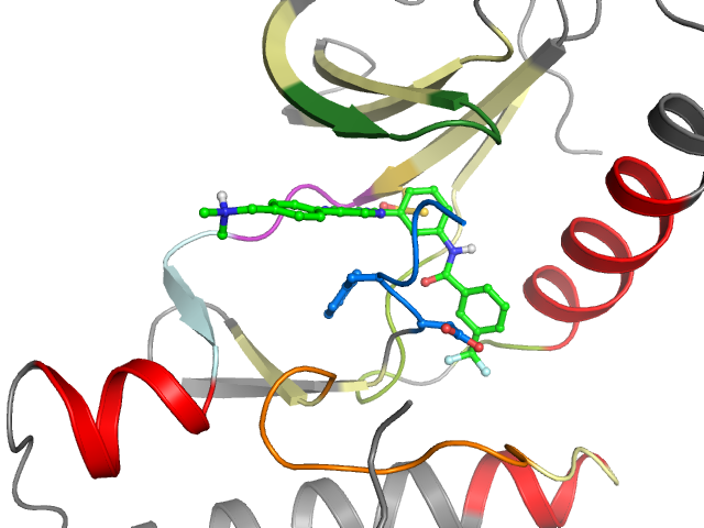 The orthosteric binding pocket