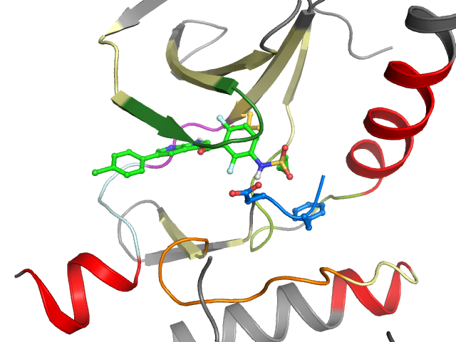 The orthosteric binding pocket