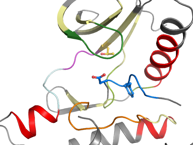 The orthosteric binding pocket
