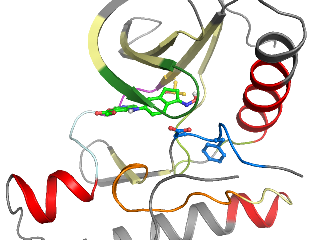 The orthosteric binding pocket