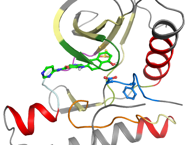 The orthosteric binding pocket