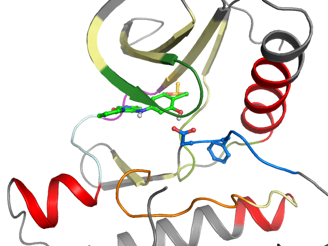 The orthosteric binding pocket