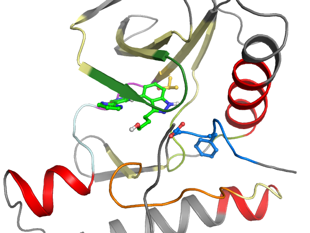 The orthosteric binding pocket