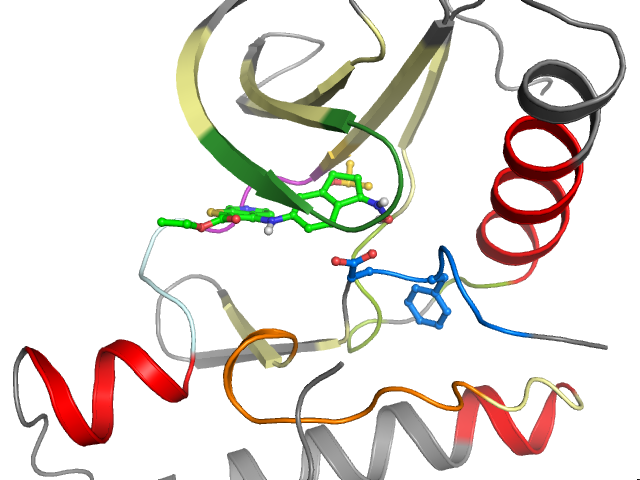 The orthosteric binding pocket