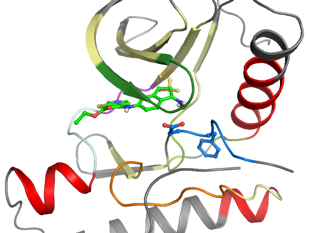 The orthosteric binding pocket