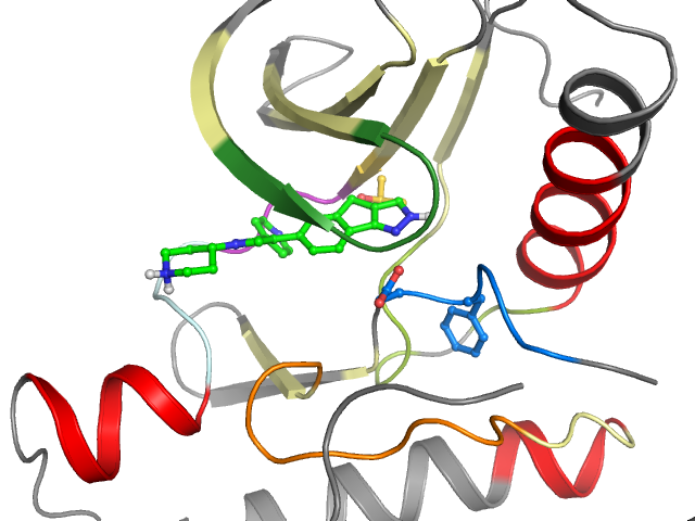 The orthosteric binding pocket