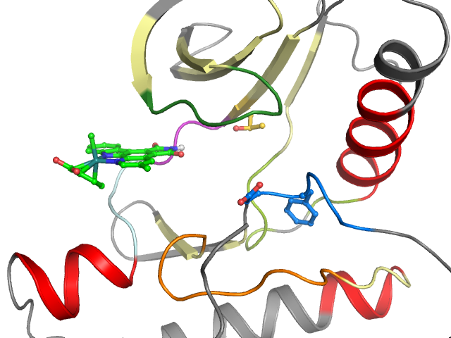 The orthosteric binding pocket