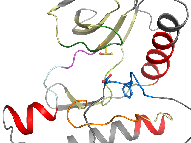 The orthosteric binding pocket