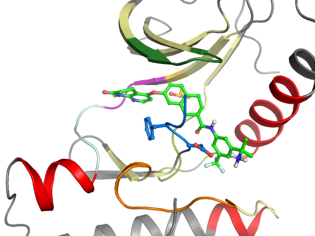 The orthosteric binding pocket