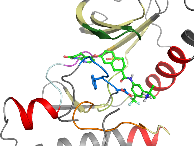 The orthosteric binding pocket