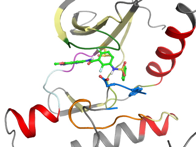 The orthosteric binding pocket
