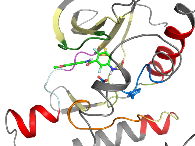 The orthosteric binding pocket