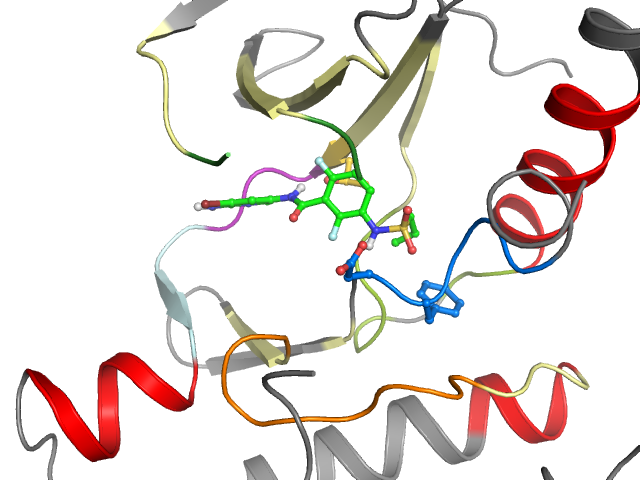 The orthosteric binding pocket