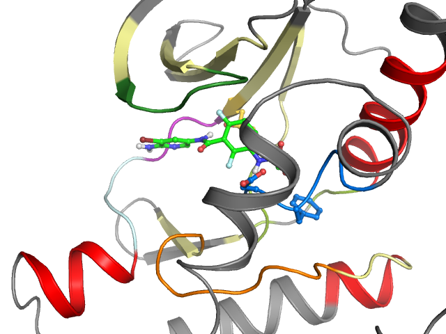 The orthosteric binding pocket