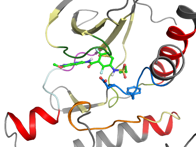 The orthosteric binding pocket