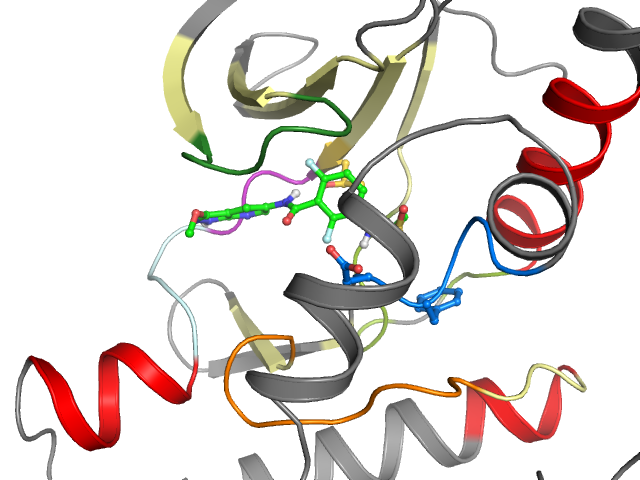 The orthosteric binding pocket