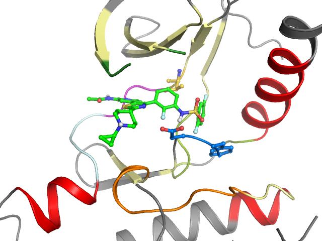 The orthosteric binding pocket