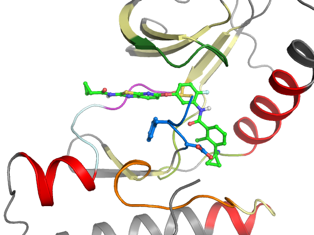 The orthosteric binding pocket