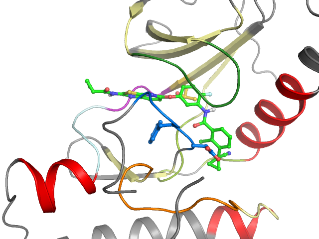 The orthosteric binding pocket