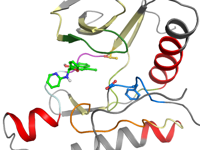 The orthosteric binding pocket