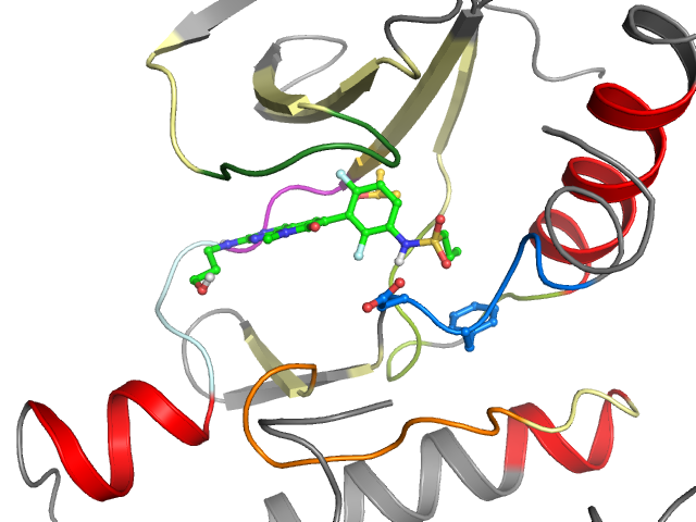 The orthosteric binding pocket