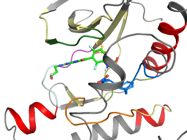 The orthosteric binding pocket
