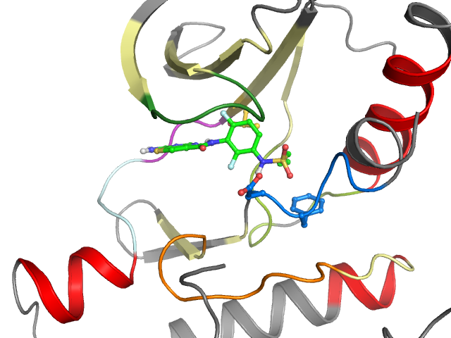 The orthosteric binding pocket