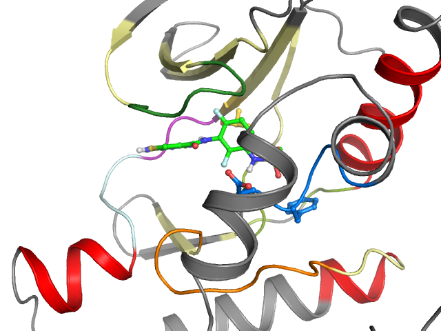 The orthosteric binding pocket