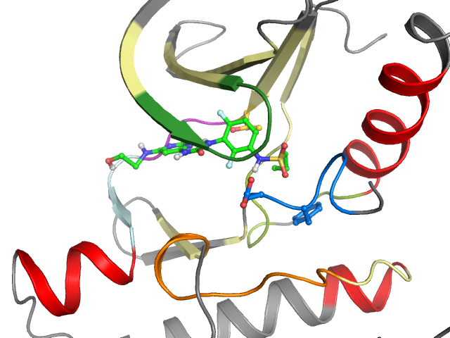 The orthosteric binding pocket